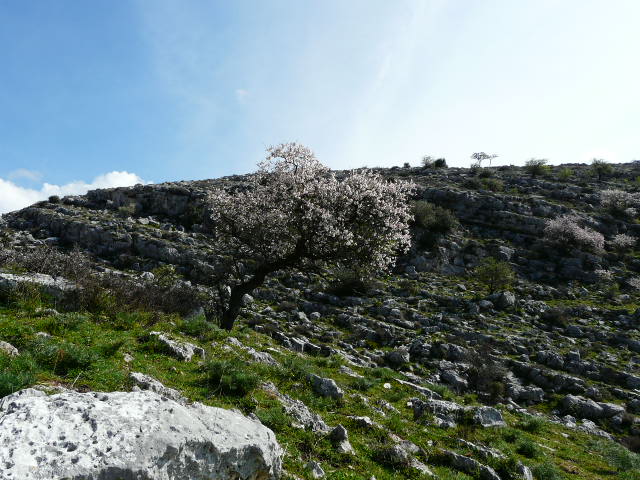 Monte Ividori con valle di Vituro...e vista sul Tavoliere